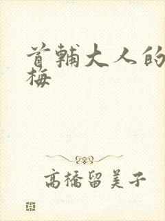 首辅大人的小青梅封面