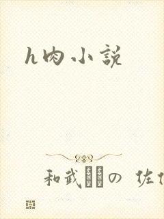 h肉小说