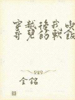 穿越后我吃到了哥儿的软饭炉山灰