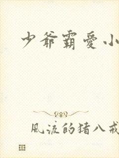 少爷霸爱小丫头封面