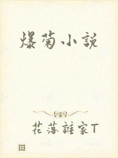 爆菊小说
