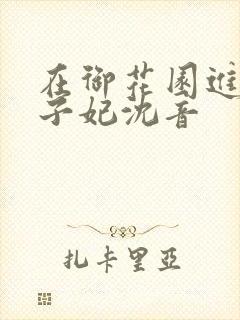 在御花园进入太子妃沈音