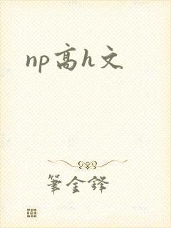 np高h文封面