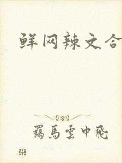 鲜网辣文合集封面