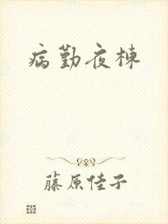 病勤夜栋