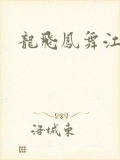 龙飞凤舞江一龙
