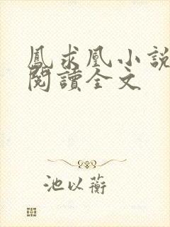 凤求凰小说免费阅读全文