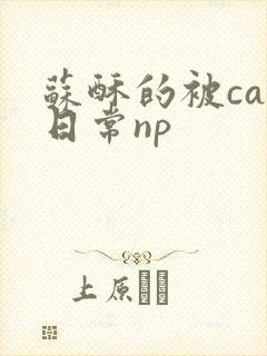 苏酥的被cao日常np封面