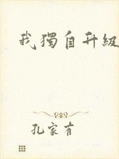 我独自升级小说