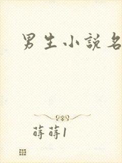 男生小说名字