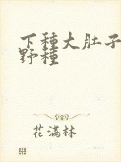 下种大肚子怀孕野种封面