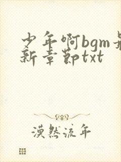 少年啊bgm最新章节txt
