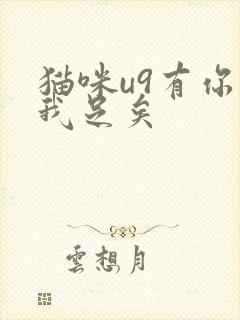 猫咪u9有你有我足矣