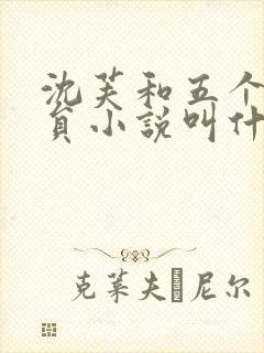 沈芙和五个消防员小说叫什么封面