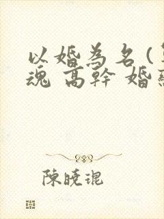以婚为名 (军魂 高干 婚恋)