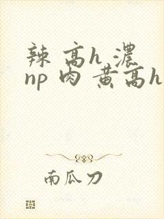 辣 高h 浓 np 肉 黄高h