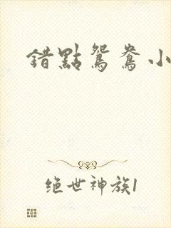 错点鸳鸯小说封面