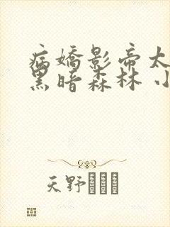 病娇影帝太撩人黑暗森林 小说全文免费阅读