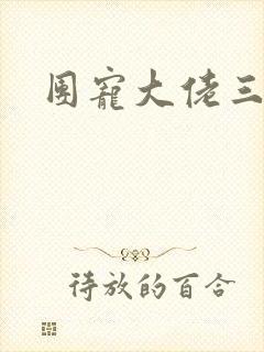 团宠大佬三岁半