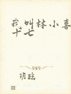 我叫林小喜今年十七封面