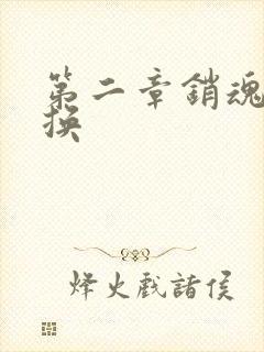 第二章销魂的交换