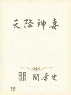 天降神妻封面