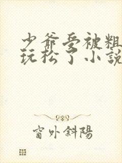 少爷受被粗汉H玩松了小说