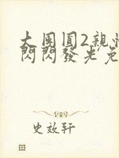 大团圆2亲情会闪闪发光免费