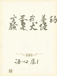 完蛋我养的小白脸是大佬