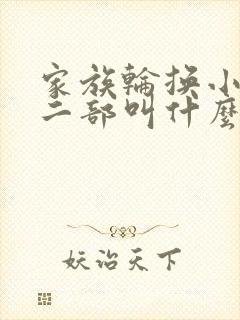 家族轮换小说第二部叫什么名字