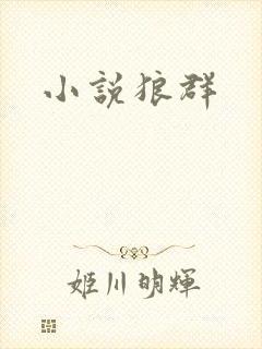 小说狼群