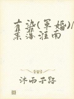 有染(军婚)/叶落淮南