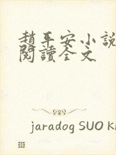 赵平安小说免费阅读全文