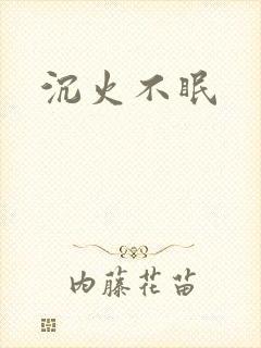 沉火不眠封面