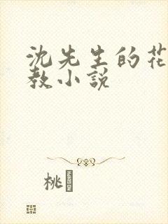 沈先生的花式调教小说