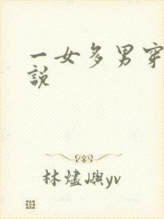 一女多男穿越小说