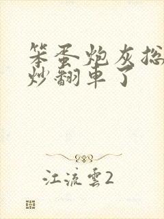 笨蛋炮灰总被爆炒翻车了封面