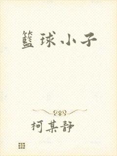 篮球小子