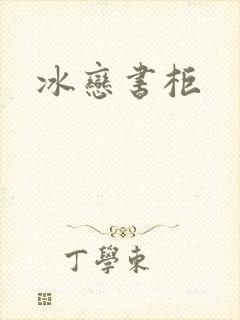 冰恋书柜封面