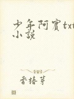 少年阿宾txt小说