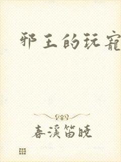 邪王的玩宠封面