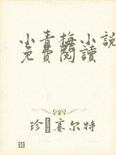 小青梅小说全文免费阅读