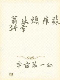 翁止熄痒苏钥第34章封面