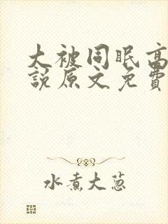 大被同眠高粱小说原文免费阅读