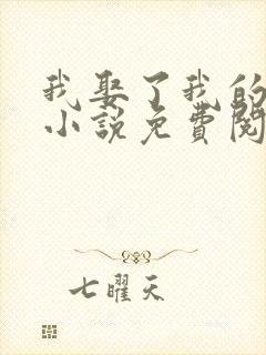 我娶了我的妈妈小说免费阅读