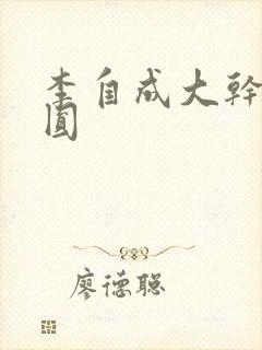 李自成大干陈圆圆封面