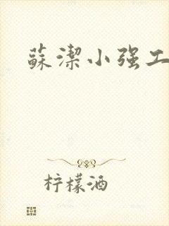 苏洁小强工地情