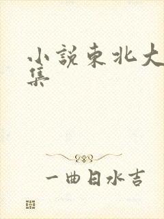 小说东北大炕全集