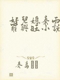 好儿媳秦雨罗明罗兴旺小说