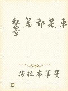 整篇都是车的文章